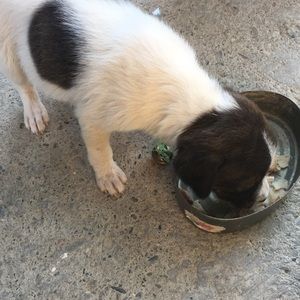 Meet your Posher, Lupita